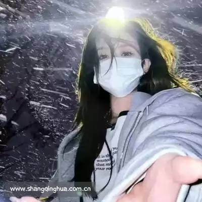 庞芯若