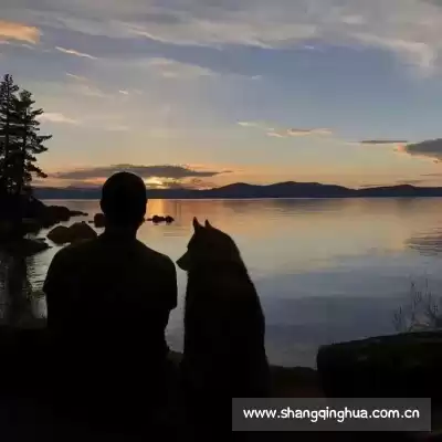 秦牧望